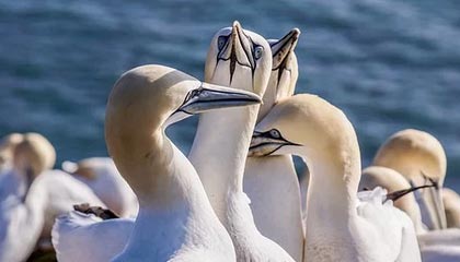 U23国足队医姚康：背后的英雄，获公司10万元奖励|澳大利亚队|U23亚洲杯|中国亚洲杯|球队|亚洲杯_新浪体育_新浪新闻