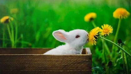 U23国足队医姚康：背后的英雄，获公司10万元奖励|澳大利亚队|U23亚洲杯|中国亚洲杯|球队|亚洲杯_新浪体育_新浪新闻